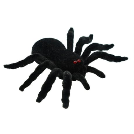 Araignee en velours noir
