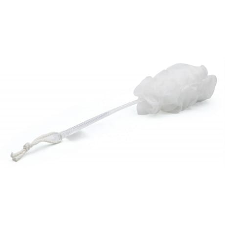 Brosse à dos plastique