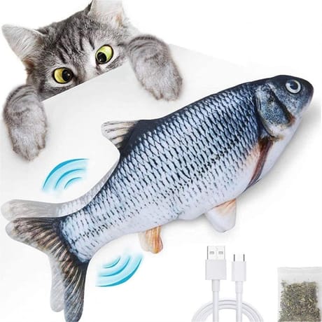 Magic fish