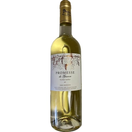IGP Côtes de Gascogne Promesse du Gascon 13% Vol.75 cl