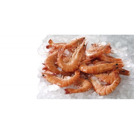 Crevettes roses de Madagascar de 30 à 40 pièces au kg