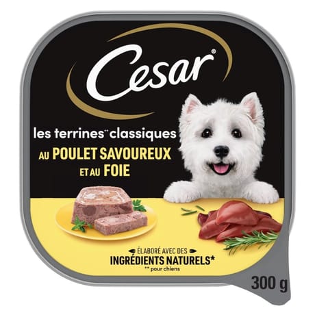 Cesar pâtée pour chien au poulet en terrine 300g