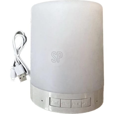Enceinte sans fil