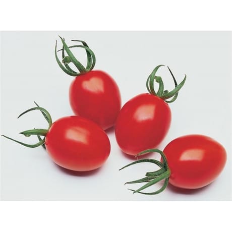 Tomate cerise allongée rouge