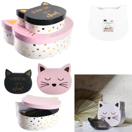 Set 2 boites de rangement chat