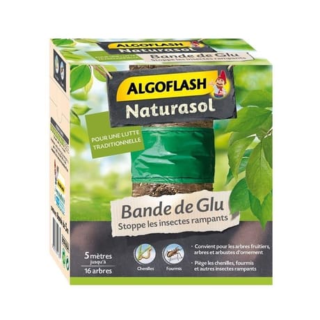 Algoflash Naturasol Bande de Glu 5 m