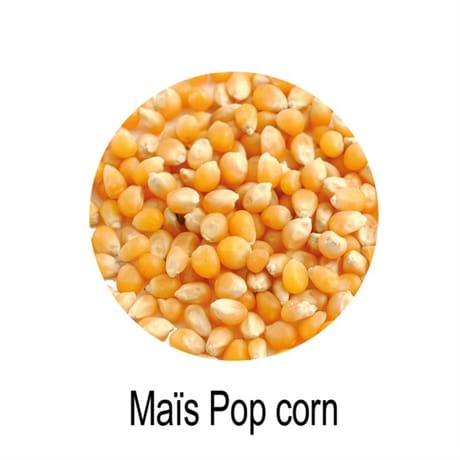Naturaline maIs à pop corn bio