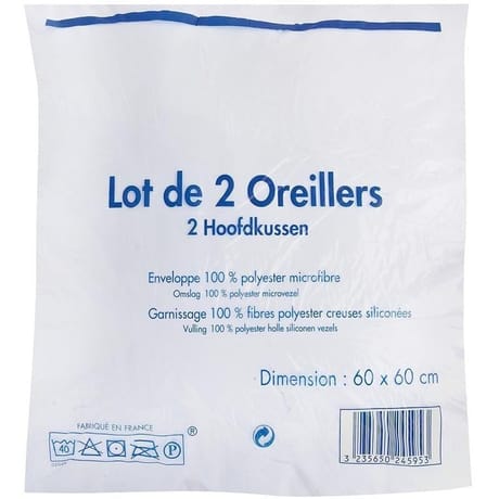 Oreiller microfibre 60x60cm lot de 2