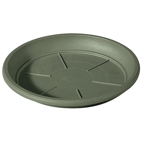 Deroma soucoupe day r verde 26 cm