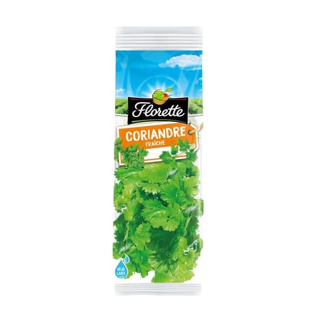 Florette coriandre 11g