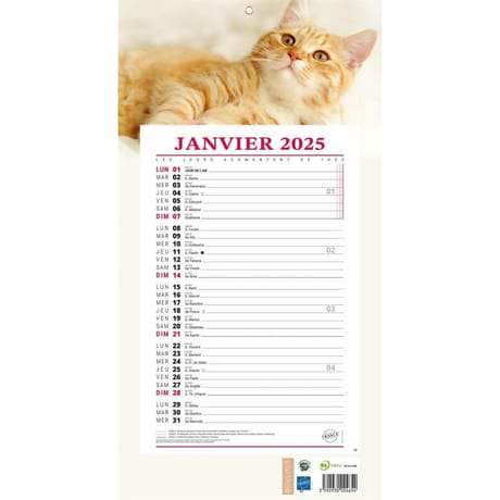 Bloc mensuel sur support 409 animaux