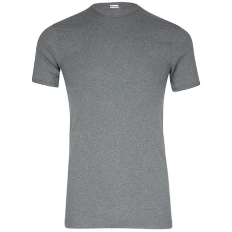 Tee-shirt manches courtes col rond homme Héritage Eminence 6600 GRIS CHINE T3