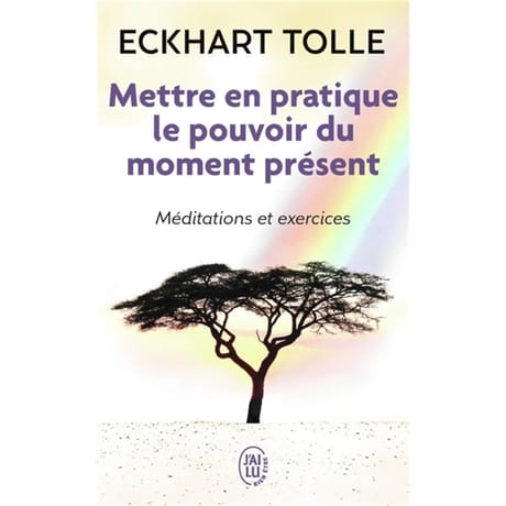 Mettre en pratique le pouvoir du moment présent : enseignements essentiels, méditations et exercices