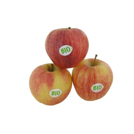 Pomme gala bio