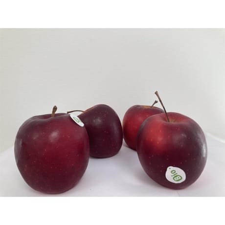 Pomme bicolore story bio