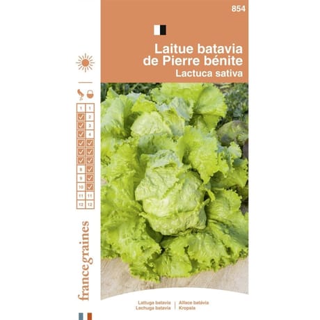France graines laitue batavia pierre bénite