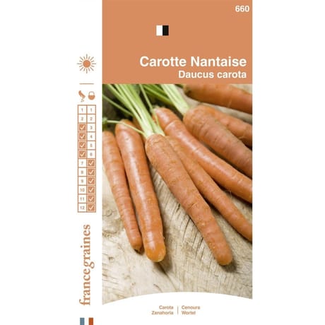 France graines carotte nantaise améliorée 3