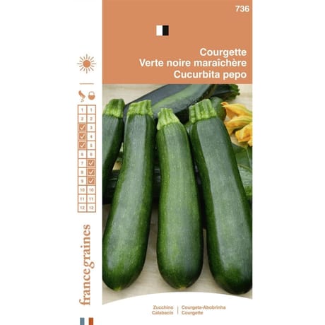 France graines courgette verte noire maraichère