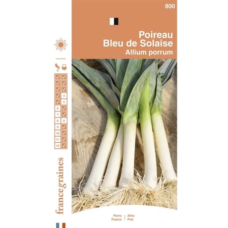 France graines poireau bleu de solaise
