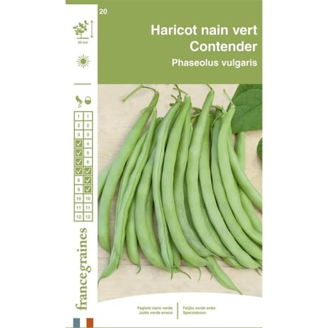 Francegraines haricot contender nain mangetout