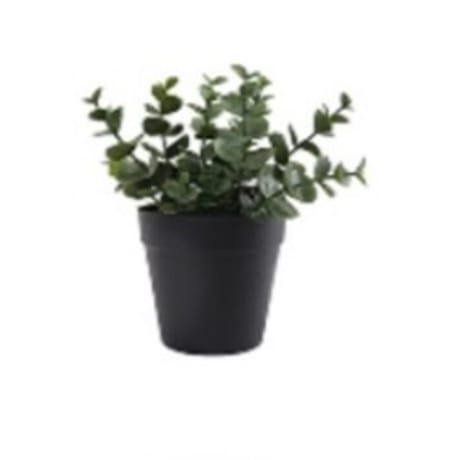 Buis - Dia 7.5cm