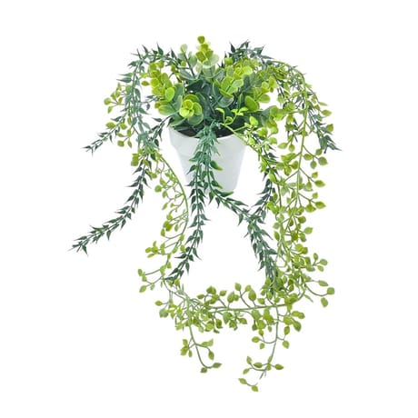 Plante grasse tombante 34cm