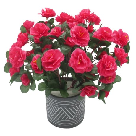 Azalées en pot ciment éthnique rose