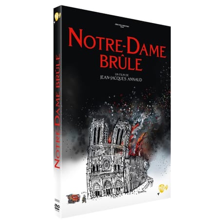 Dvd notre dame brûle