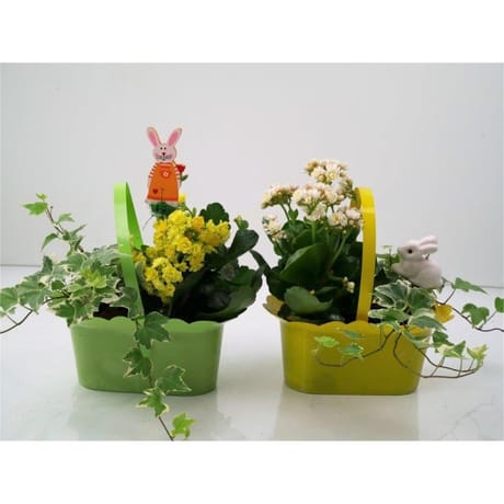 Composition de pâques 2 plantes