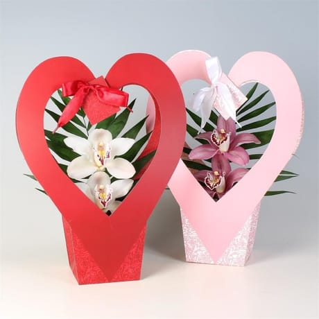 Cymbidium emballage fleuriste coeur 2 fleurons