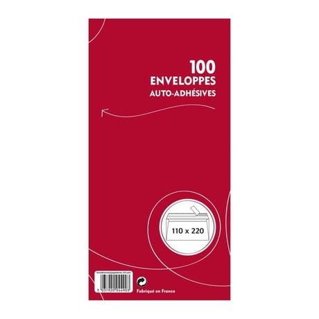 Enveloppes x 100 auto adhésives 110x220 mm