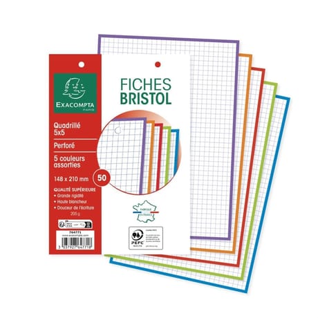 Exacompta 100 fiches bristol perforées 14.8x21 cm 5x5 coloris assortis