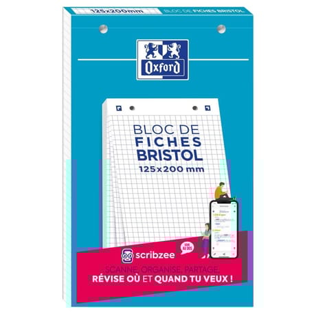 Oxford bloc bristol 125x300 30 fiches perforées q5/5 blanc