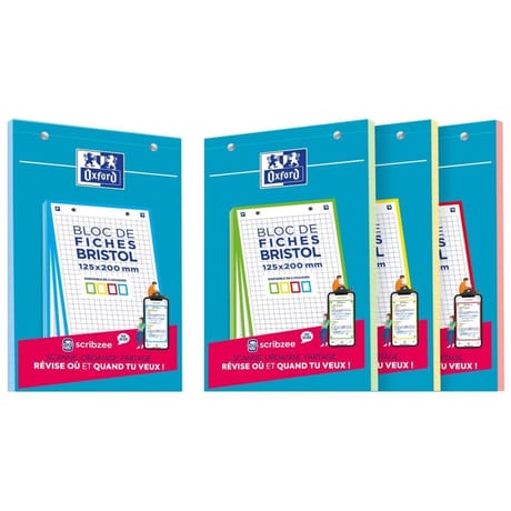 Oxford bloc bristol 125x300 30 fiches perforées q5/5 couleur