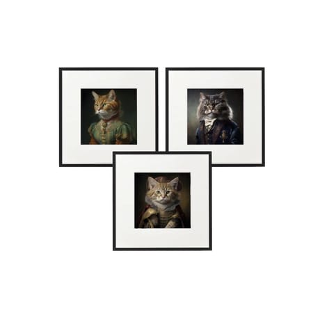 Cadre chat 40x40cm