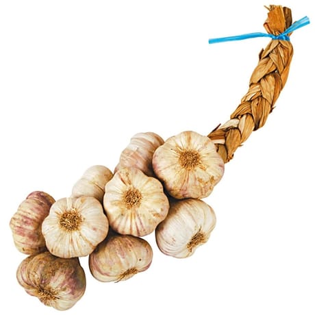 AIL TRESSE VIOLET 500G