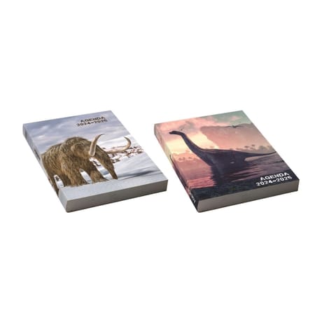 Agenda souple 12x17 cm decor dinosaures