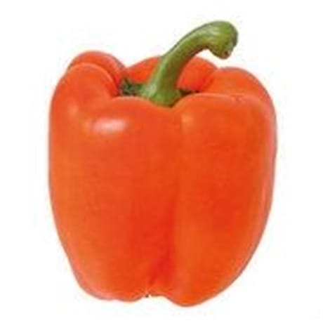 Poivron orange