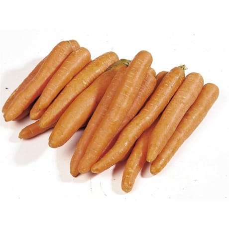 Carottes le sachet de 3kg