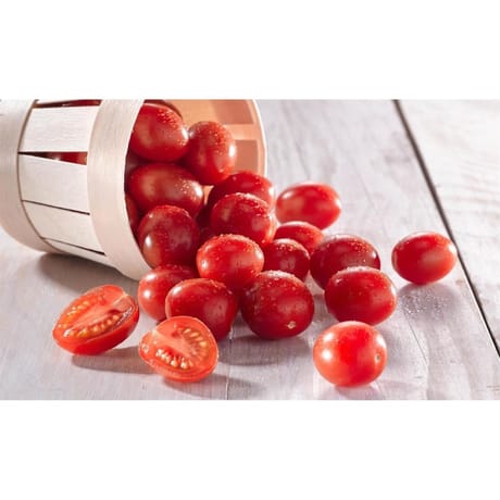 Tomate cerise ronde barquette 250g