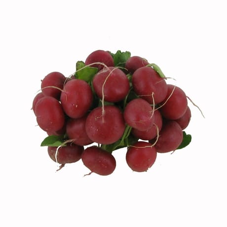 Radis rouge sachet