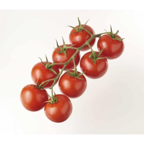 Tomate cocktail grappe 500g