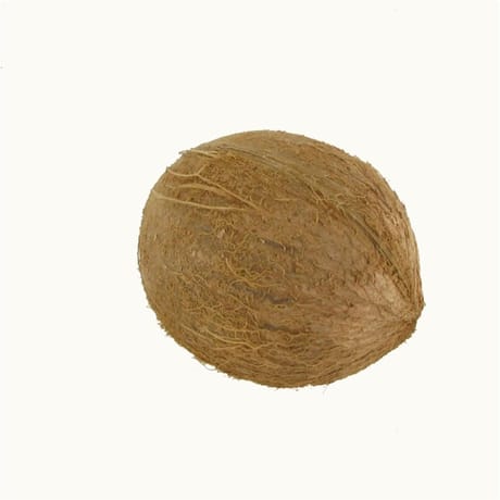 Noix de coco bio