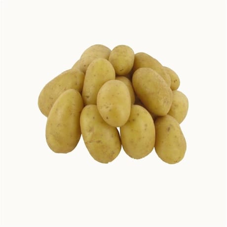 Pomme de terre bio celtiane