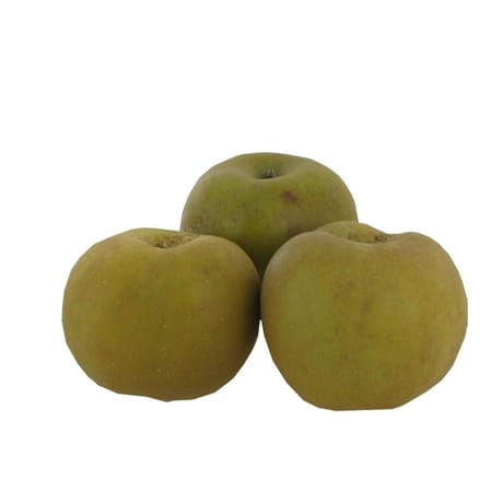 Pomme Canada bio 4 fruits
