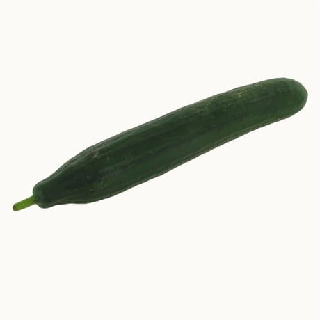 Concombre bio