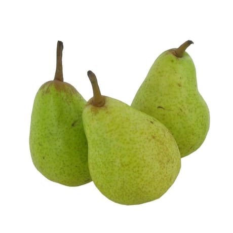 Poire William vert bio 4 fruits