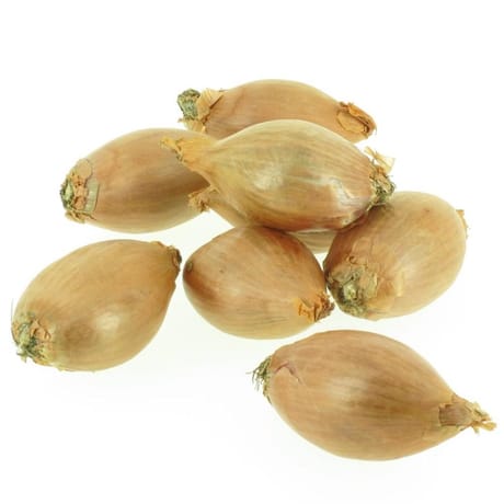 ECHALOTE LONGUE BIO 250G