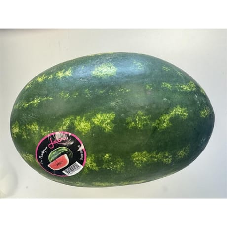 Pastèque allongée