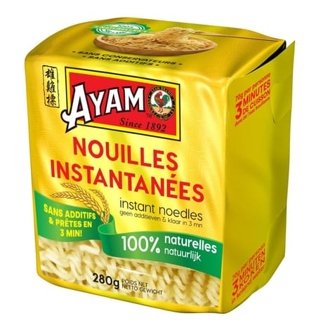 Ayam Nouilles instantanées 280g